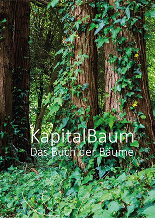 Kapital-Baum